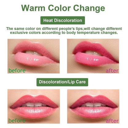 3PCS Aloe Vera Lipstick,Aloe Vera Color Changing Lipstick,24H Long Lasting Nutritious Soothing Aloe Vera Lip Balm,Magic Moisturizer Temperature Color Change Aloe Vera Lip Gloss Lip Care Set for Women